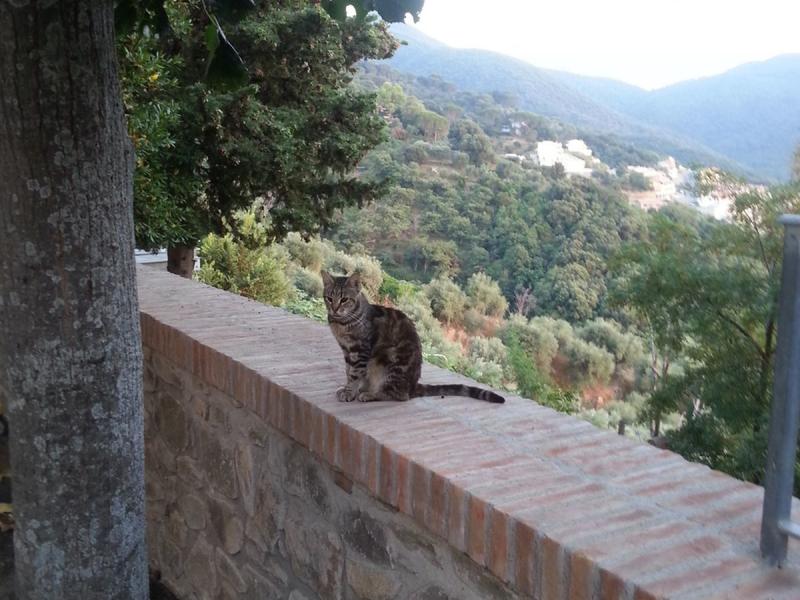 Campeggio Vallicella