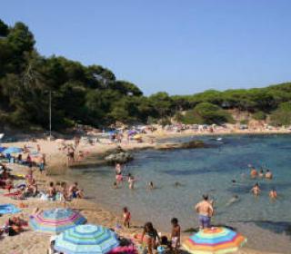 Camping Vall D'Or