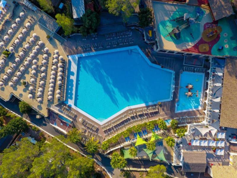 Camping Holiday Green