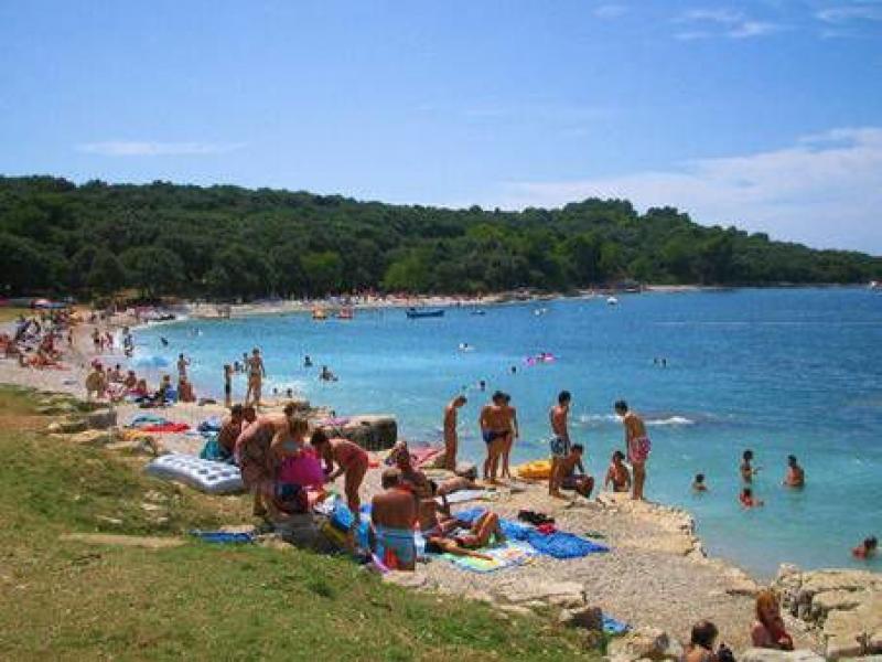 Brioni Sunny Camping