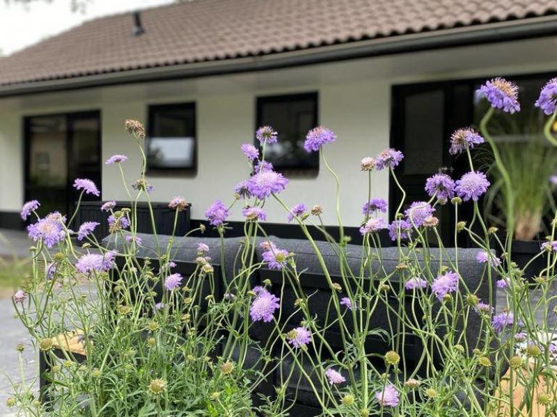 Camping de Vinkenkamp