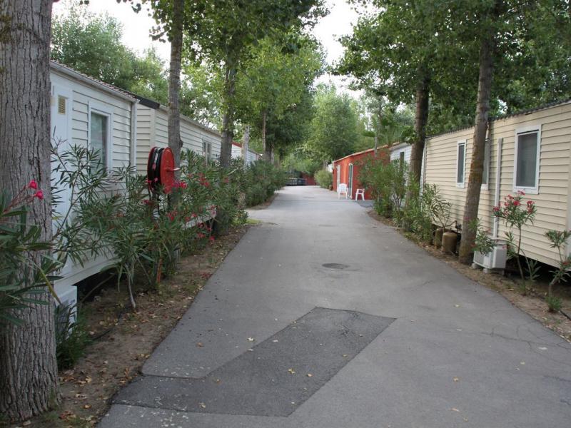 Camping Mare Pineta, Sistiana