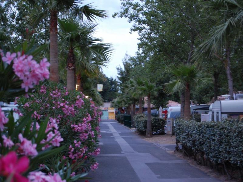 Camping Mare Pineta, Sistiana