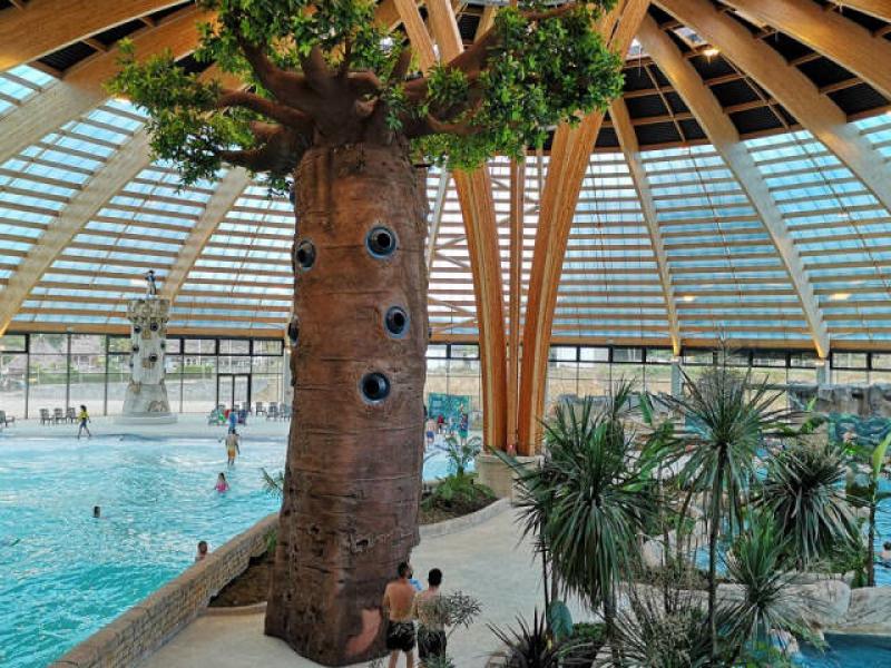 Camping Domaine des Ormes