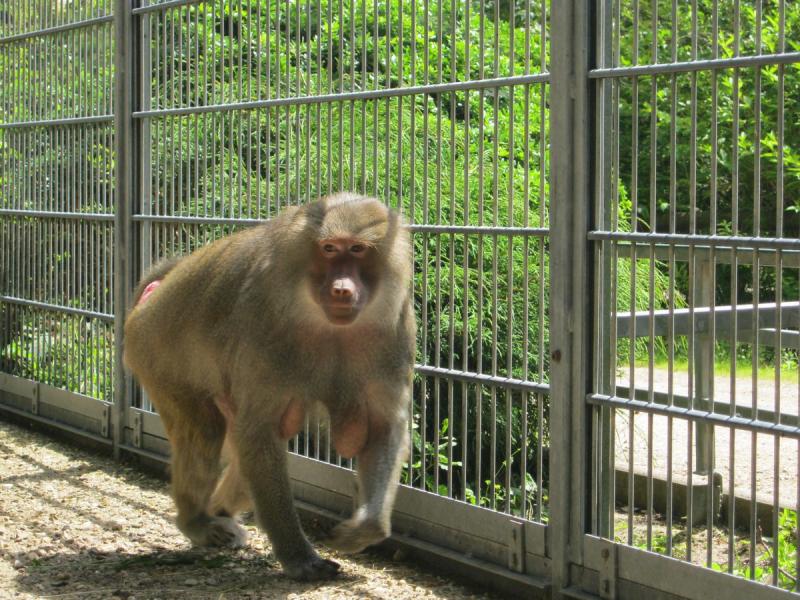 Eifel Ferienpark Prümtal