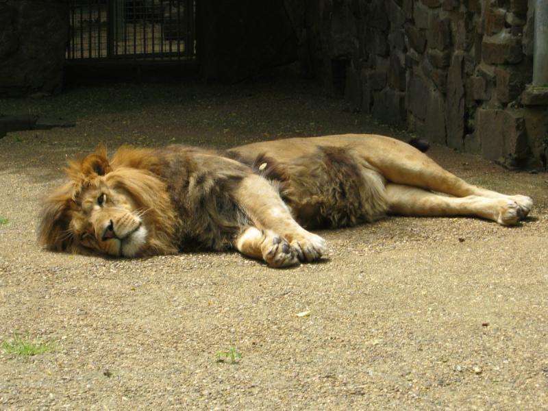 Eifel Ferienpark Prümtal