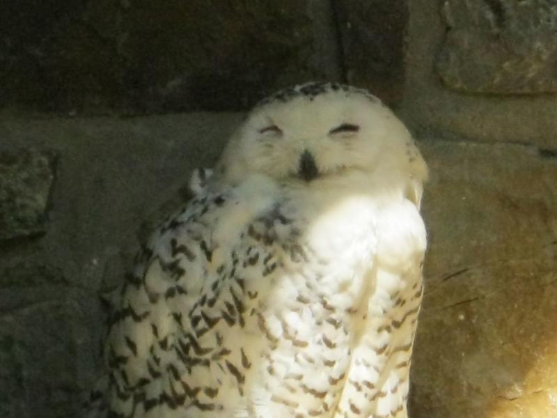 Eifel Ferienpark Prümtal