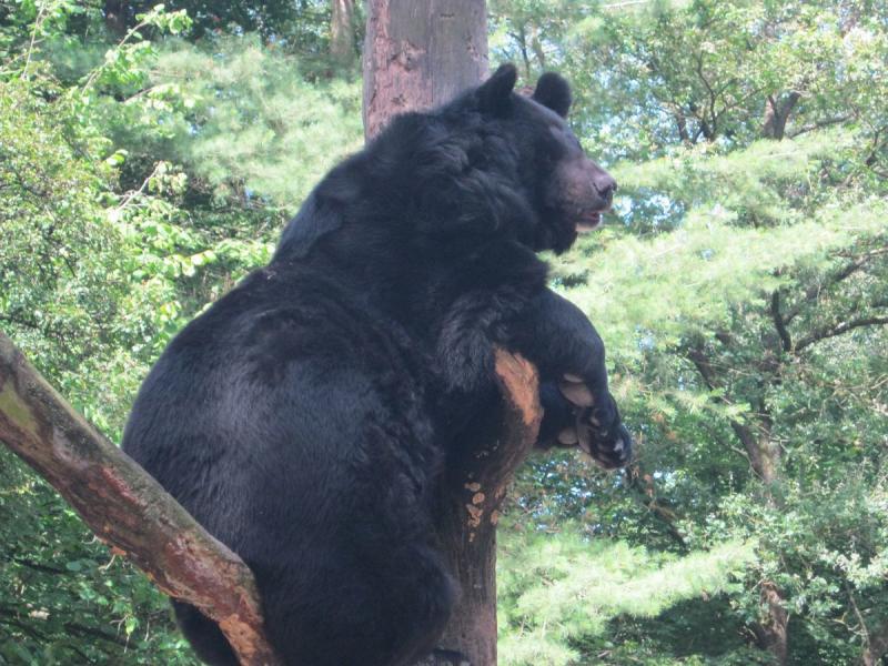 Eifel Ferienpark Prümtal