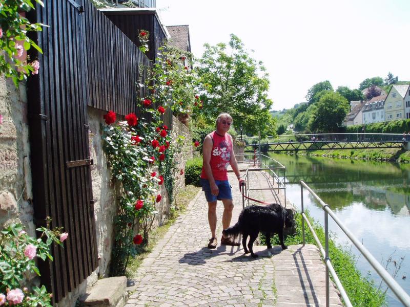 AZUR Cp-park Wertheim am Main