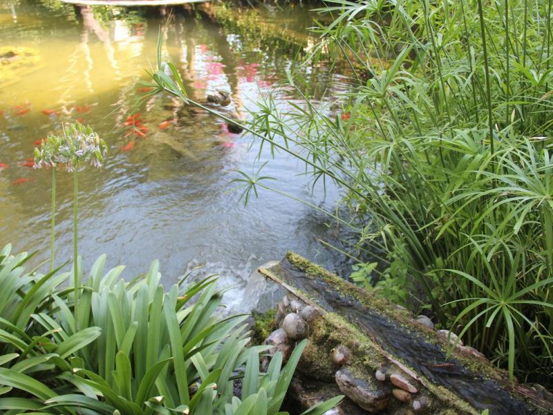 Baia Domizia Camping Village