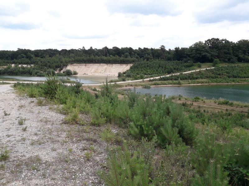 Camping DroomPark Maasduinen