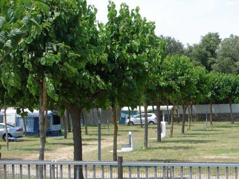 Campeggio Mas Patoxas