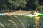 Donaupark Campeggio Tulln