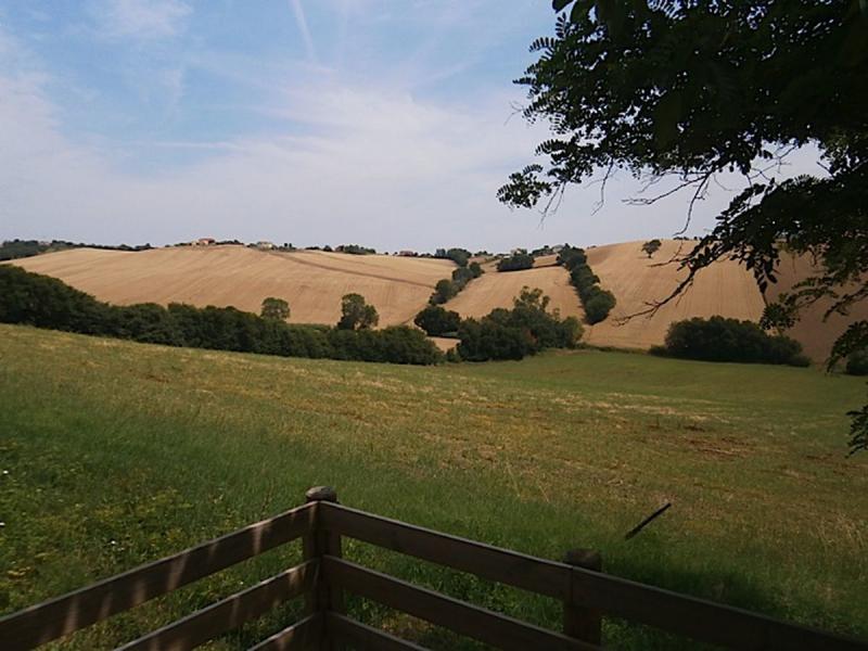 Campeggio Tenuta Tredici Ulivi