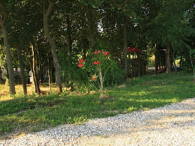 Campeggio Tenuta Tredici Ulivi