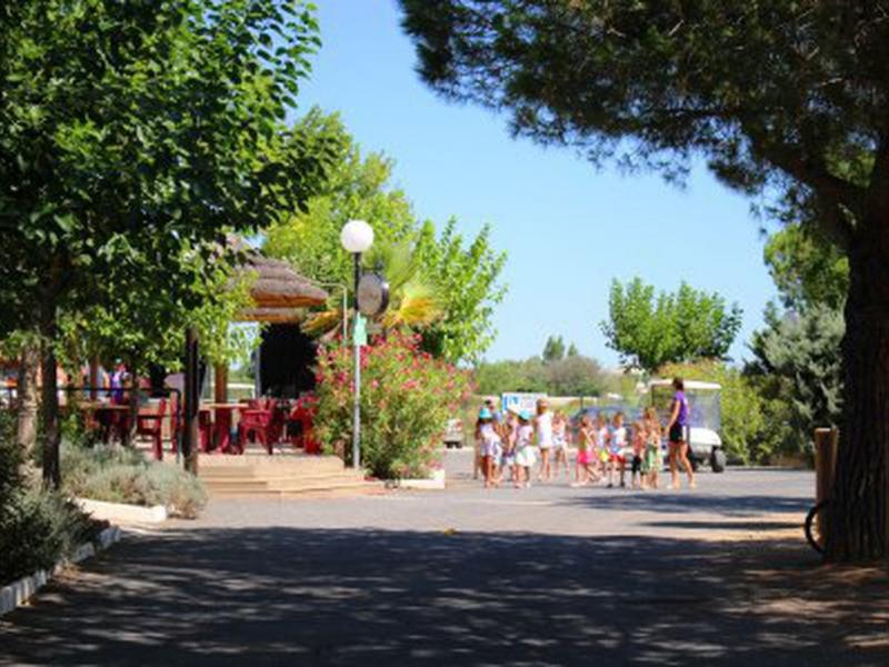 Camping Mas des Lavandes