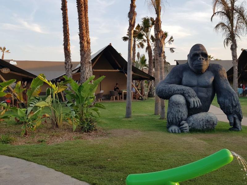 Camping El Delfin Verde