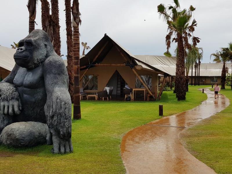 Camping El Delfin Verde