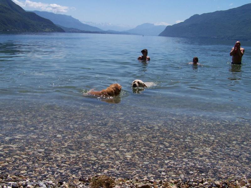 Camping International