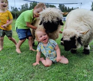 Camping De Toffe Peer