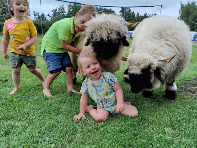 Camping De Toffe Peer