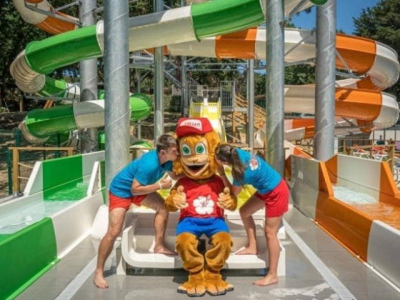 Camping Les Ajoncs d Or