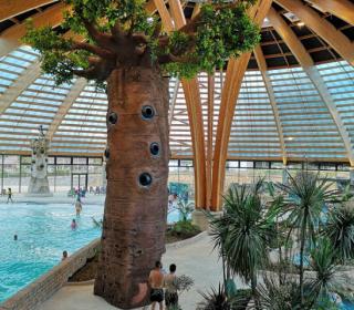 Camping Domaine des Ormes