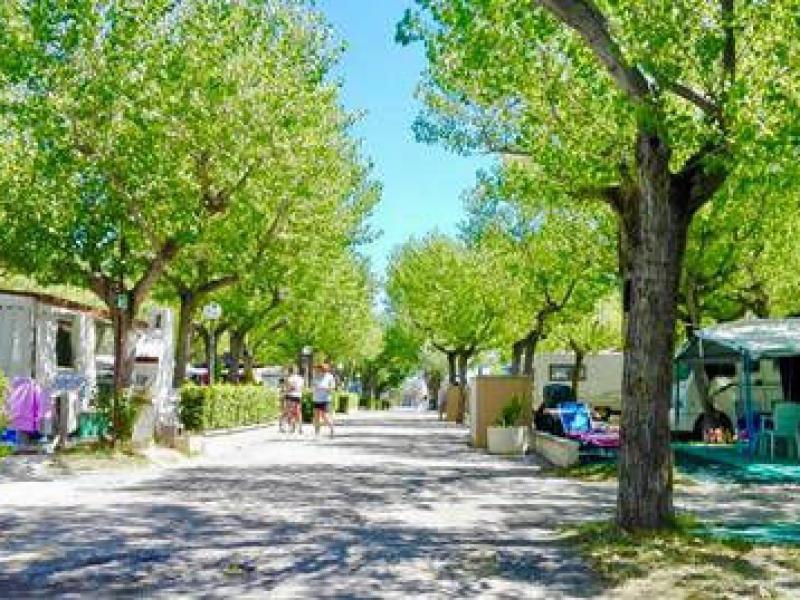 International Riccione