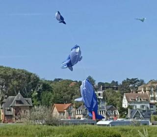 Camping Seasonova Domaine Saâne et Mer