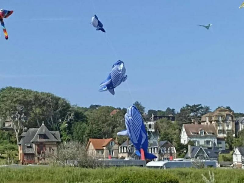 Camping Seasonova Domaine Saâne et Mer