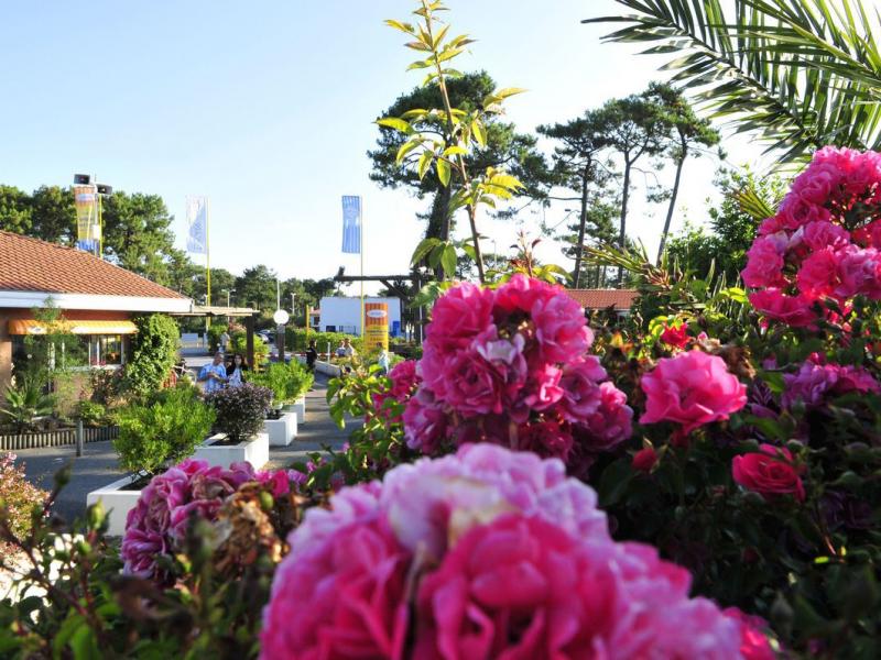 Camping Campéole Plage Sud