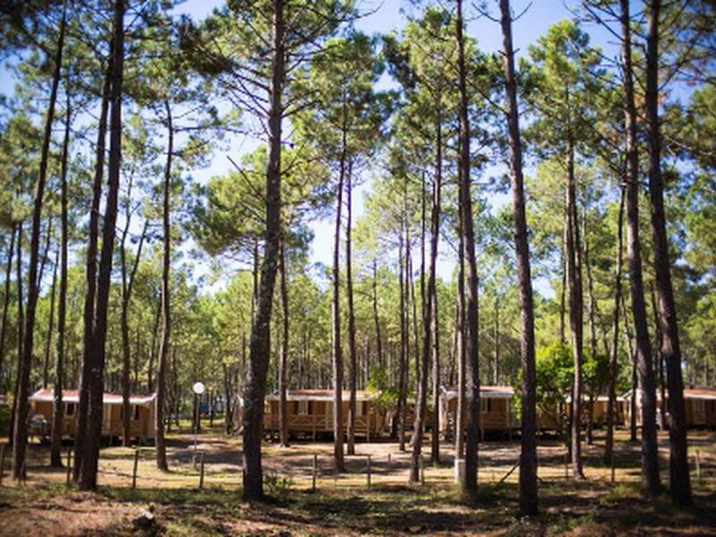 Camping Campéole Les Tourterelles