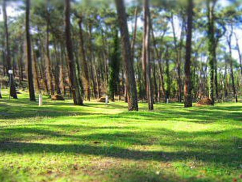 Camping Campéole Les Tourterelles