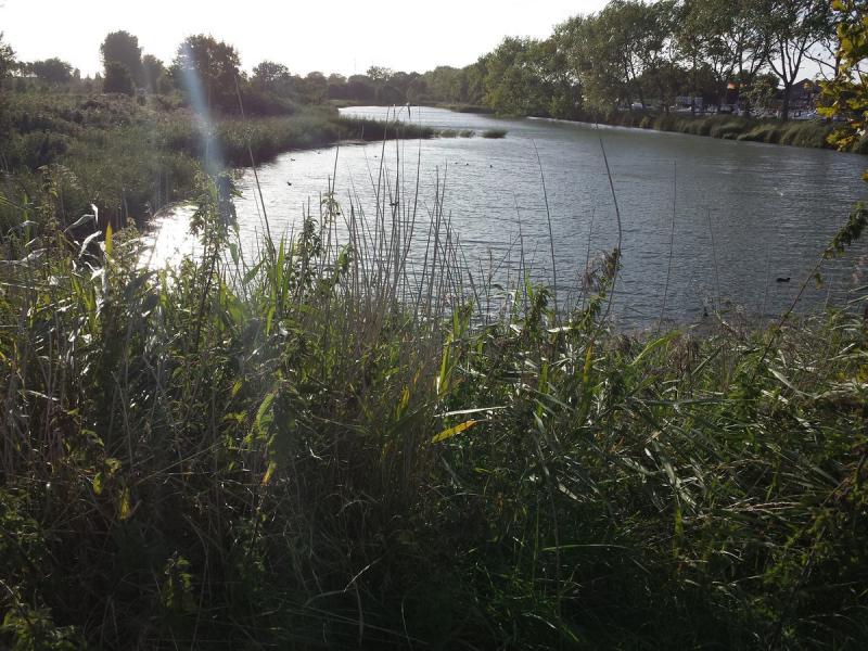 Kompas Camping Nieuwpoort