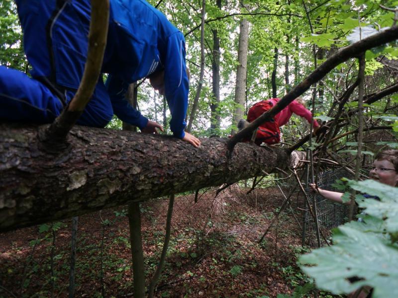 Knaus Campingpark Walkenried