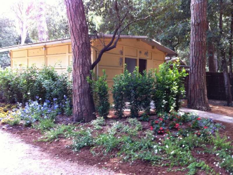 International Camping Etruria