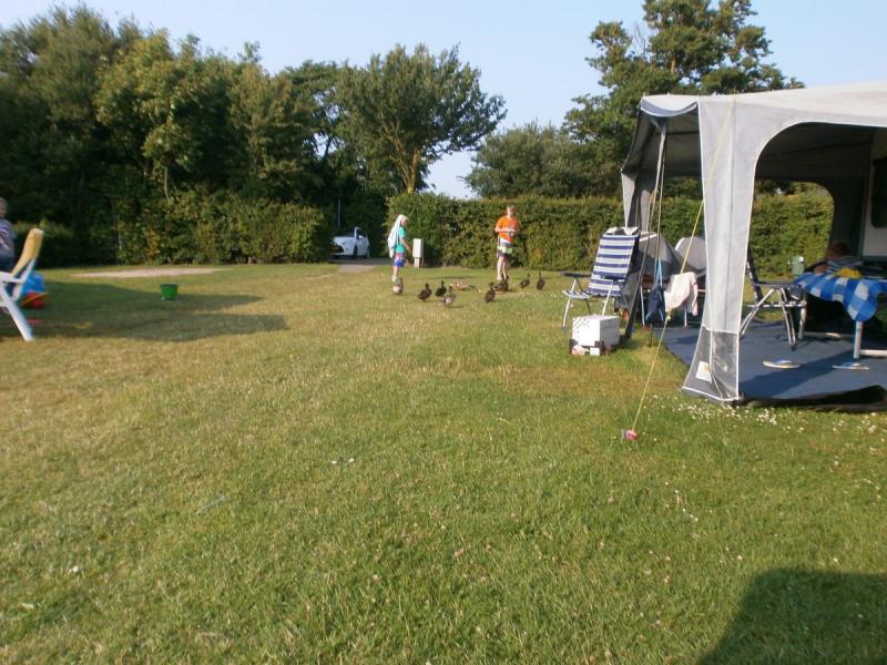 Camping Hof Domburg