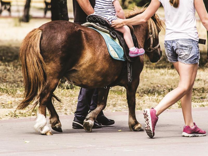 Camping Au Bocage du Lac