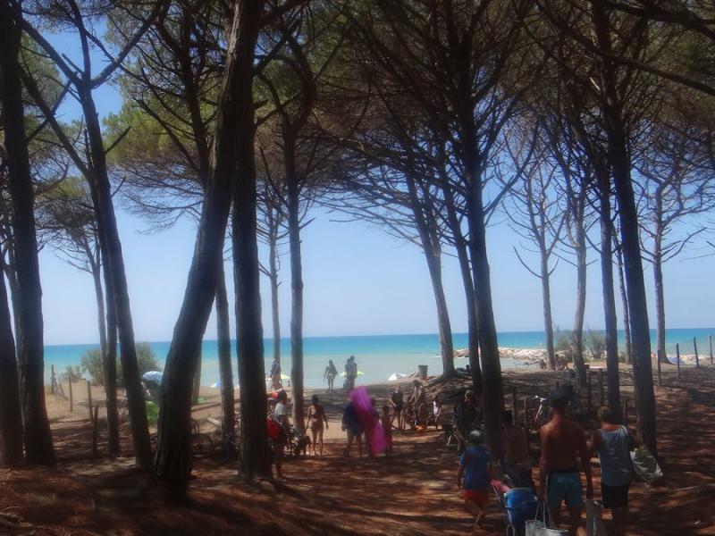 Camping Le Tamerici