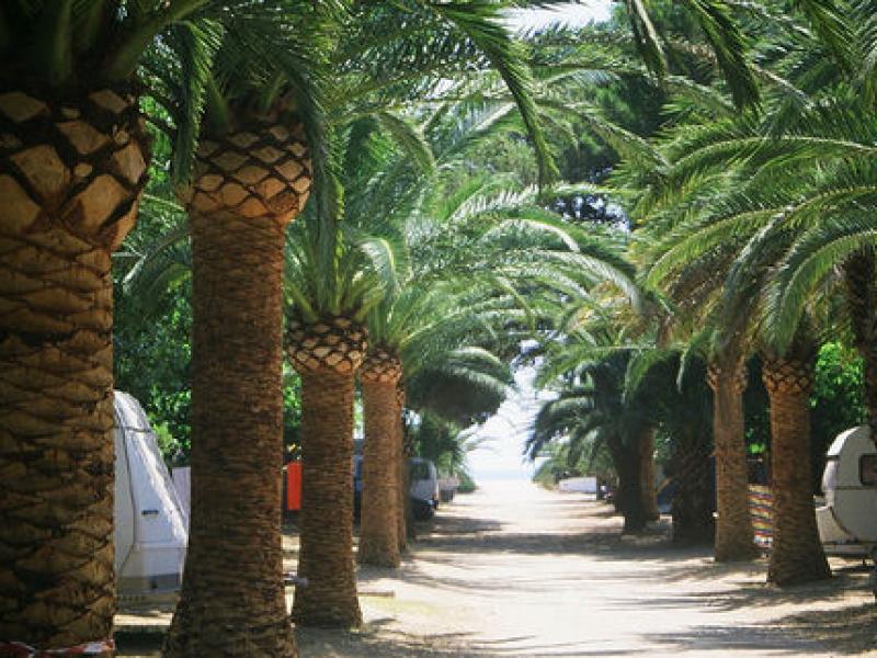 Camping La Torre del Sol