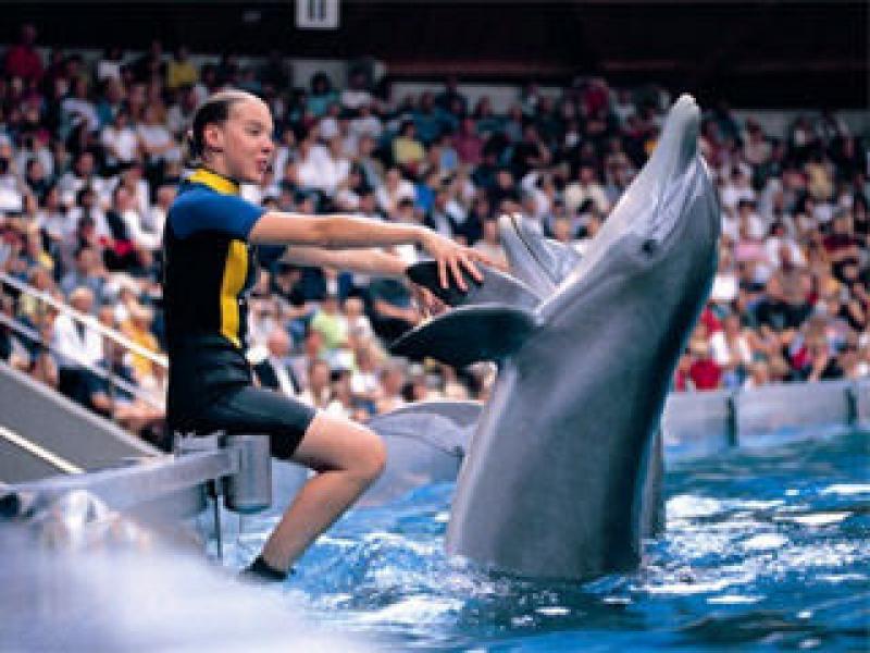 Camping Klein Strand