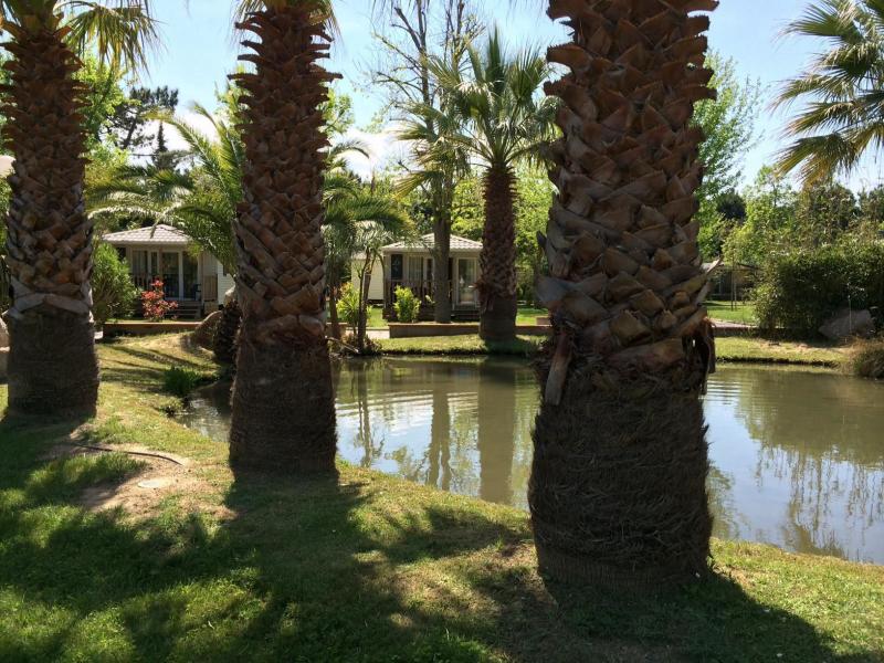 Camping Le Méditerranée