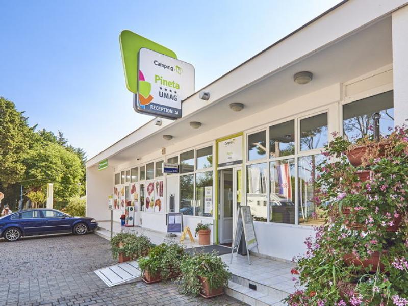 Campeggio Pineta
