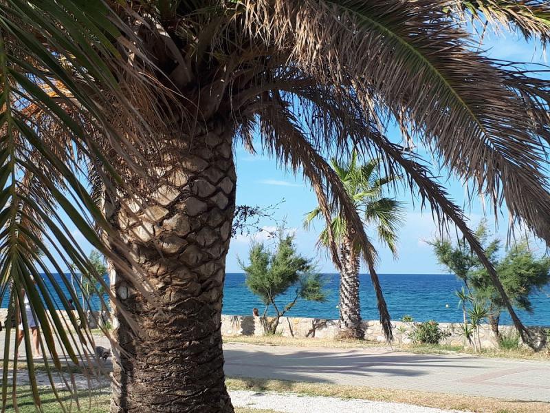 Campeggio Les Marsouins