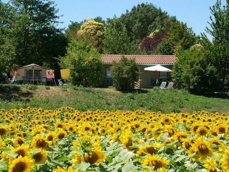 Camping Le Camp de Florence