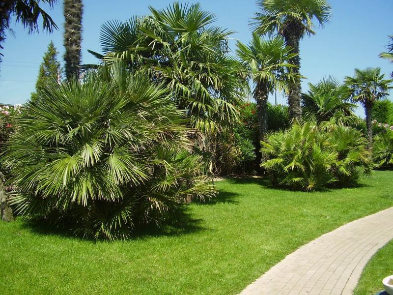 Europa Camping Village