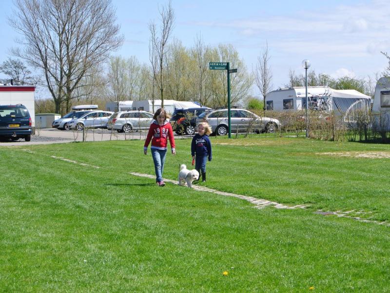 Ardoer camping De Pekelinge