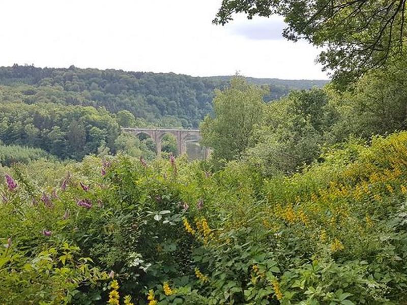 Ardennen Camping Bertrix