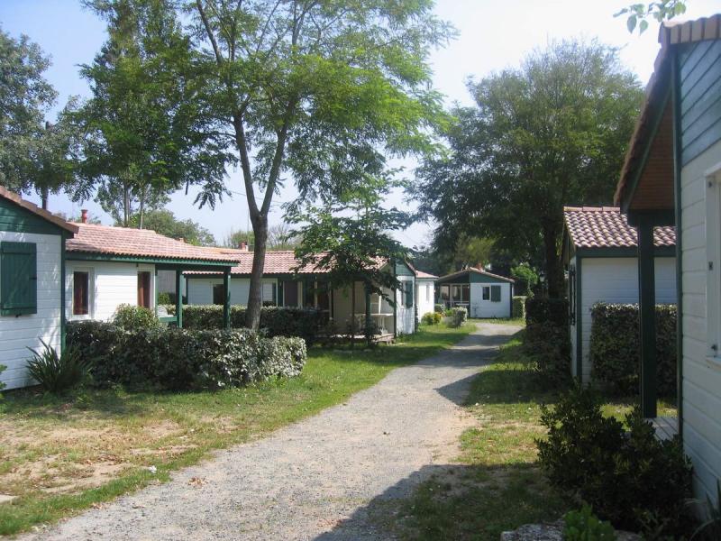 Camping Les Gros Joncs GC