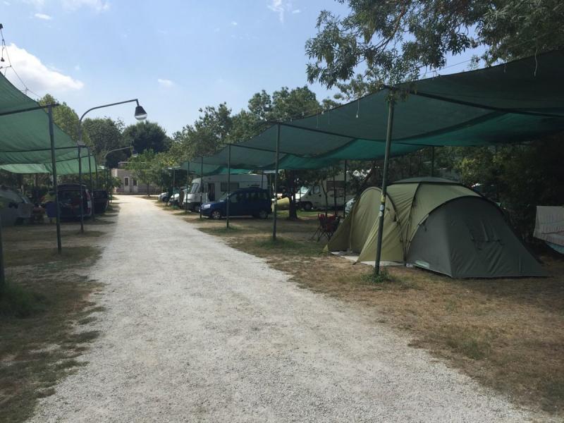 Camping Torre Pendente